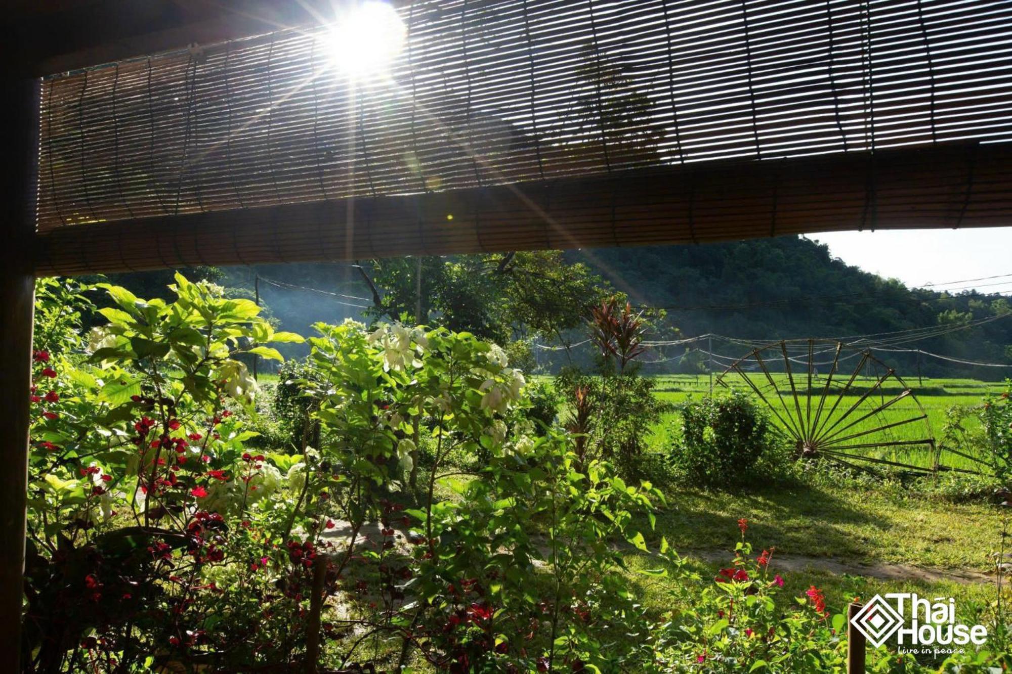 Thai House Pu Luong - Century Old Stilt House With Terrace Views Huong Ba Thuoc Extérieur photo