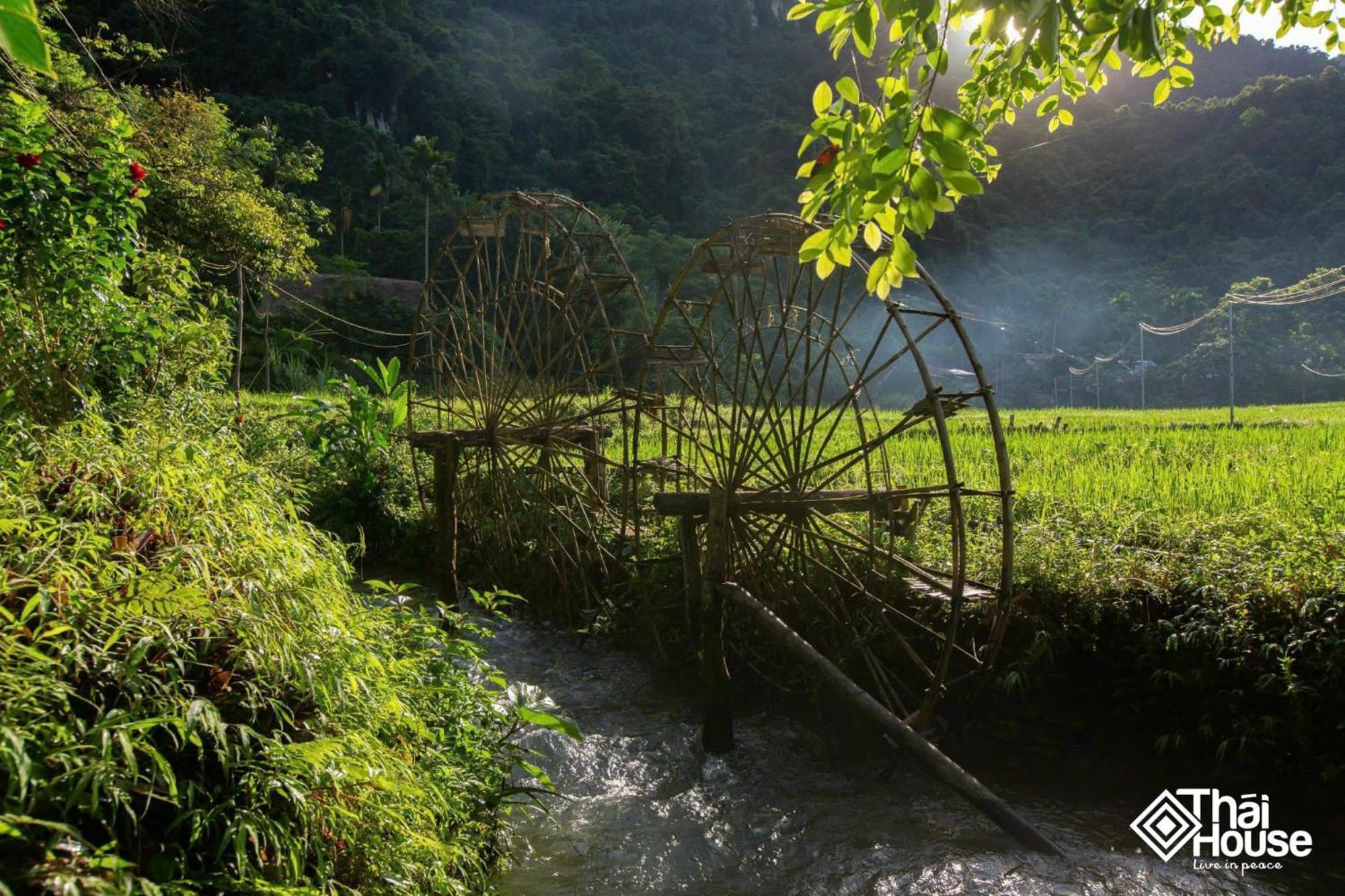 Thai House Pu Luong - Century Old Stilt House With Terrace Views Huong Ba Thuoc Extérieur photo
